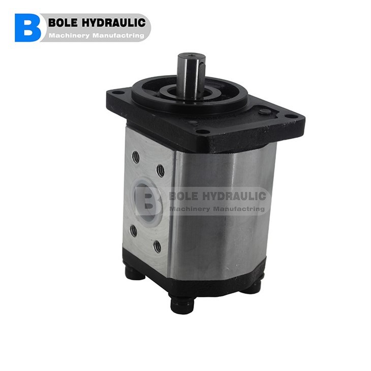 BB-B Series Cycloid Gear Pumps BB-B125